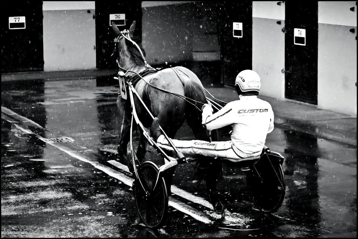 JuJu Photographies L'ombre du trot tweet media