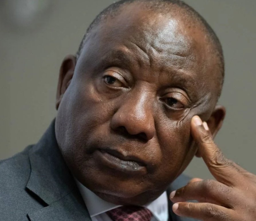 MDN NEWS tweet media