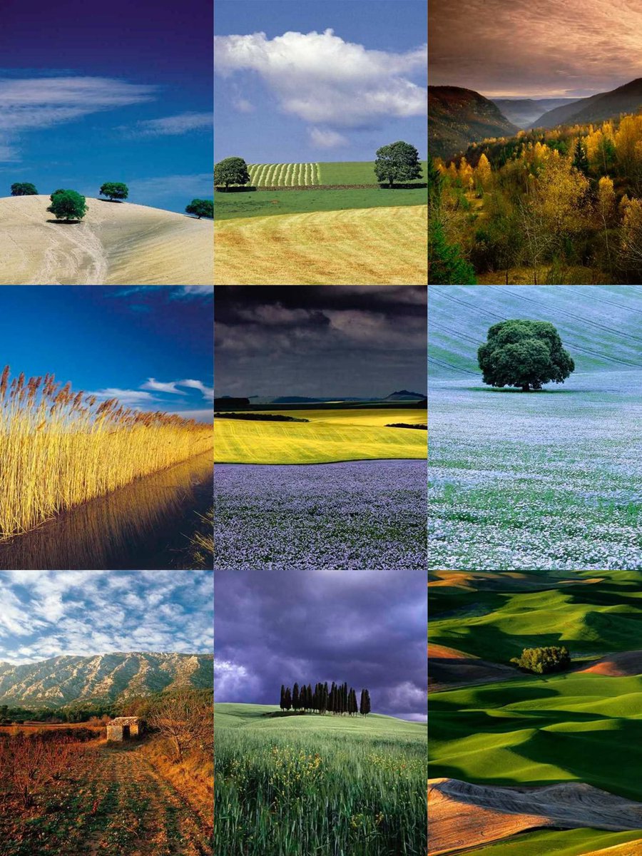 RamellaUgo's tweet image. Mio Collage Fotografie di Charlie Waite inglese nato nel 1949 famoso per i suoi paesaggi