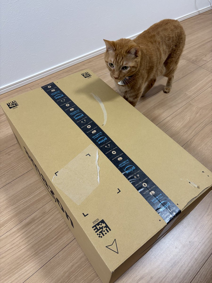 趣味ノート tweet media