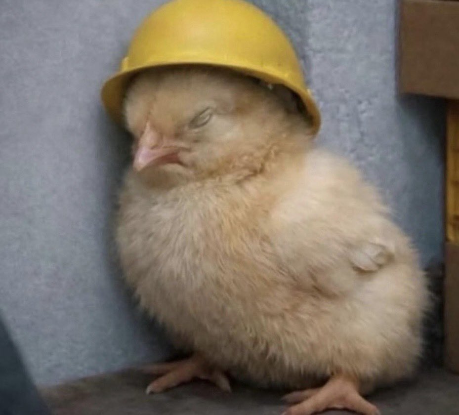 Yo en el trabajo cuando nadie me está viendo: