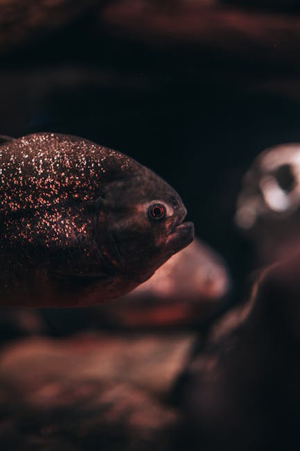 Kathleen Henderson tweet media