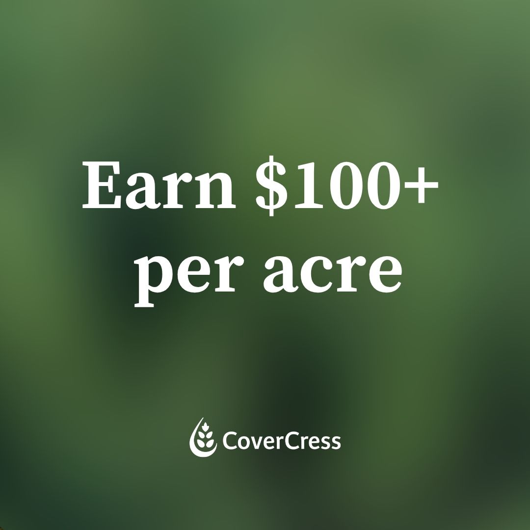 CoverCress's tweet photo. What are your winter acres costing you?

CoverCress® helps turn that downtime into $100+/acre in added revenue.

Let’s talk: https://t.co/i9nyKSPjMZ

#CoverCress #FarmToFuel https://t.co/ADL4PPRJB5