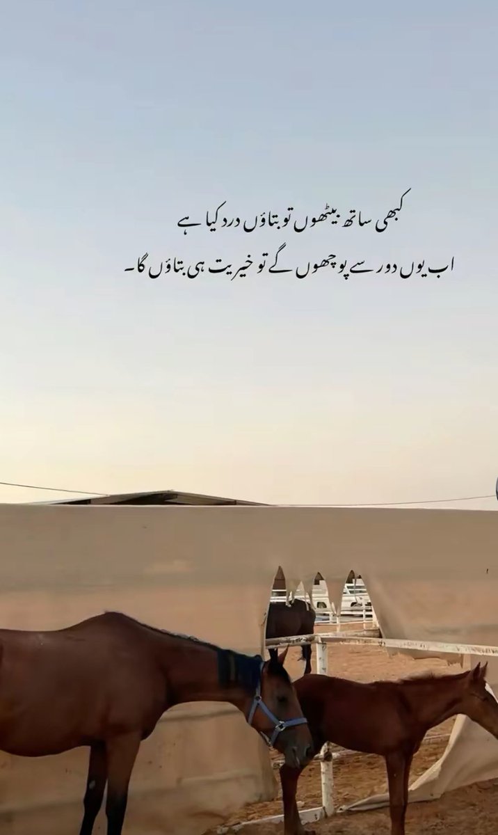 saleem_nid89620's tweet image. Heart touching words🥺😑
#words #real #reedr #moonlit