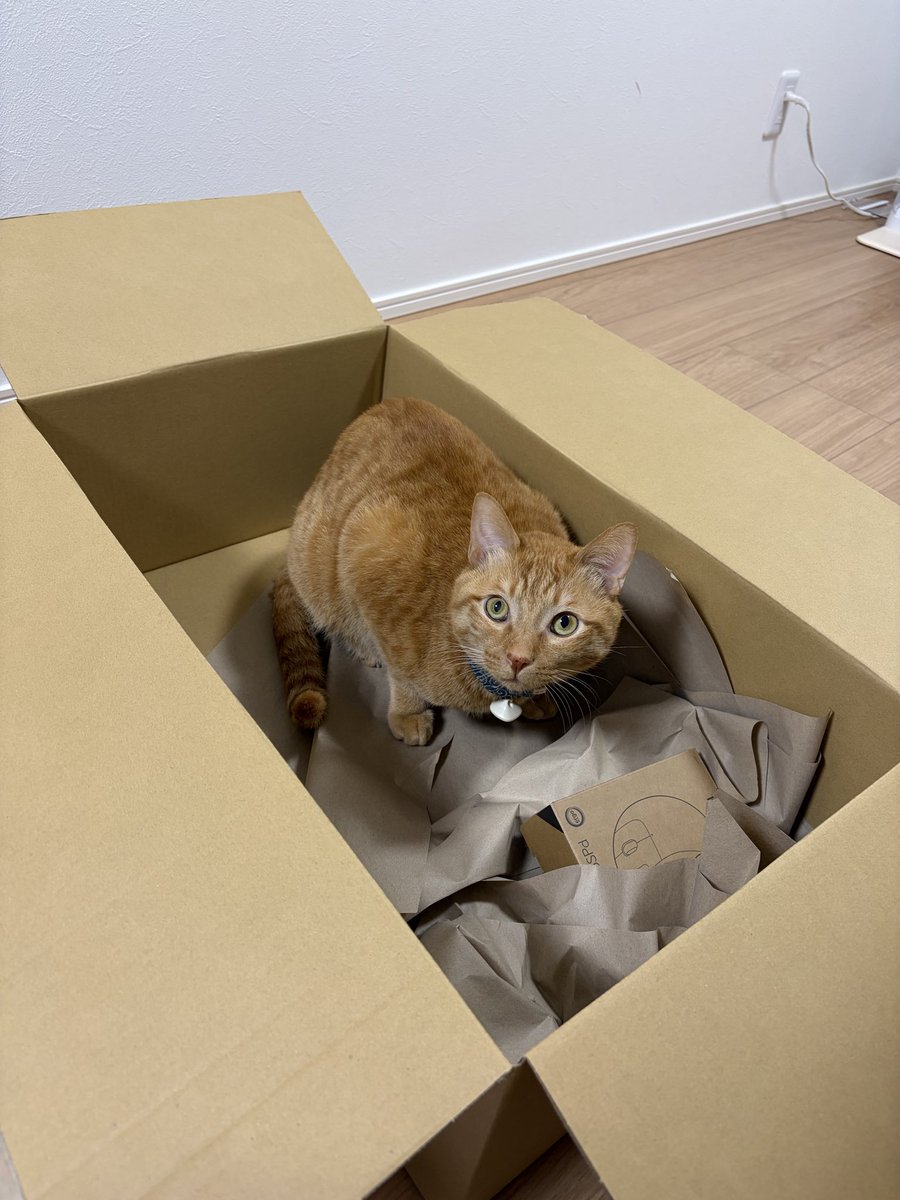 趣味ノート tweet media