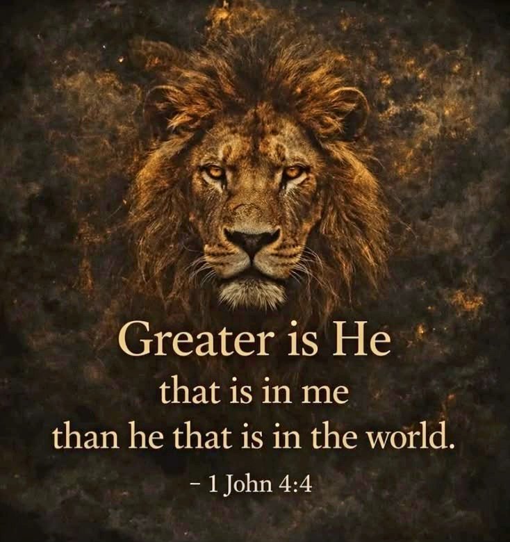 George Jenkins tweet media