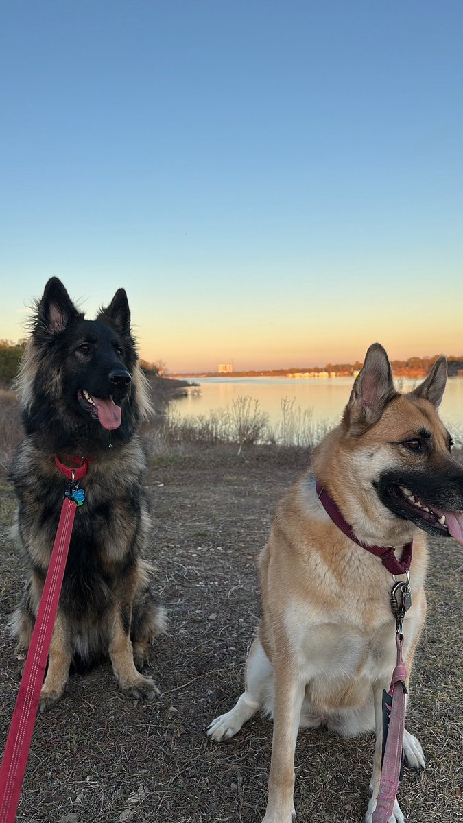 jakehenrysmith's tweet photo. @kxysklub Kylo’s my 2.5 year old on the left and Kaia’s almost 4 😊 https://t.co/znlnINlrXS
