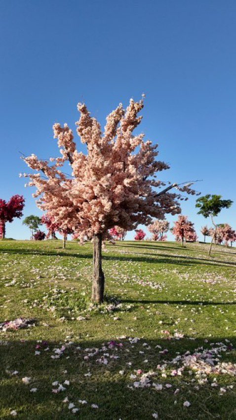 يوسف الشمري tweet media