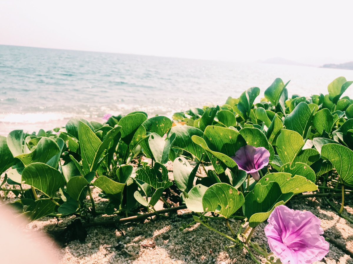 Friday1001-06042026 tweet media