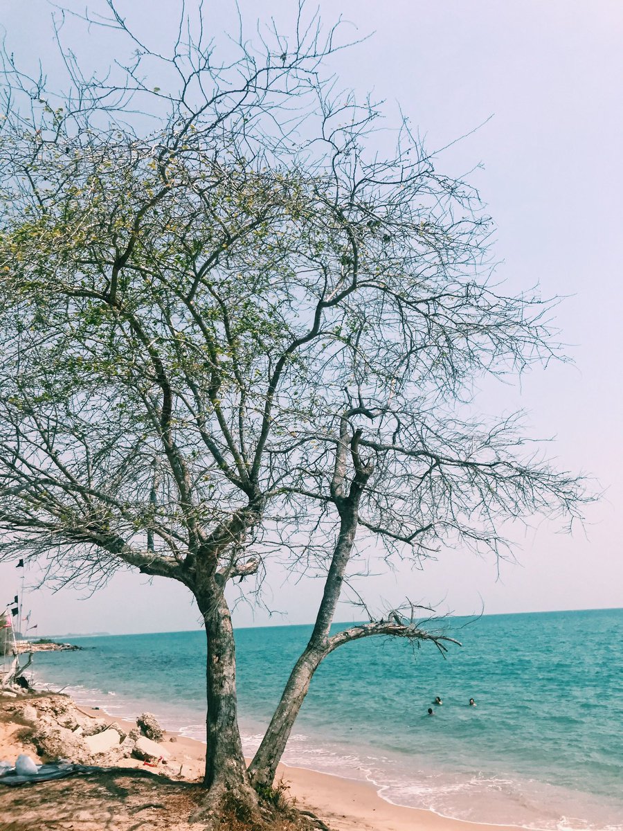 Friday1001-06042026 tweet media