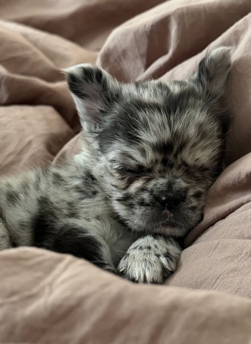 WrestlingWorldCC tweet media