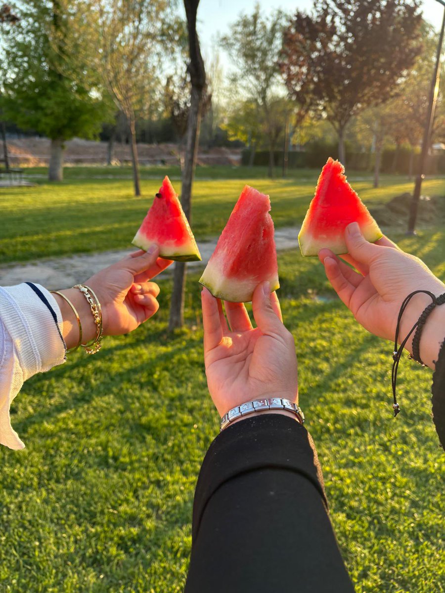 tugba_bnll's tweet photo. My therapy 🍉 https://t.co/AB58mk4z2k