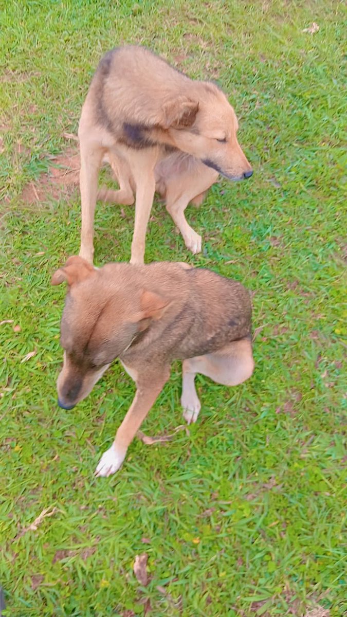 Ka bebz🌹 tweet media