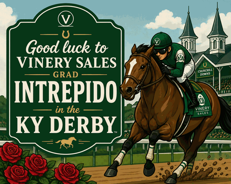 vinerysales's tweet photo. https://t.co/yNABtgqFN2