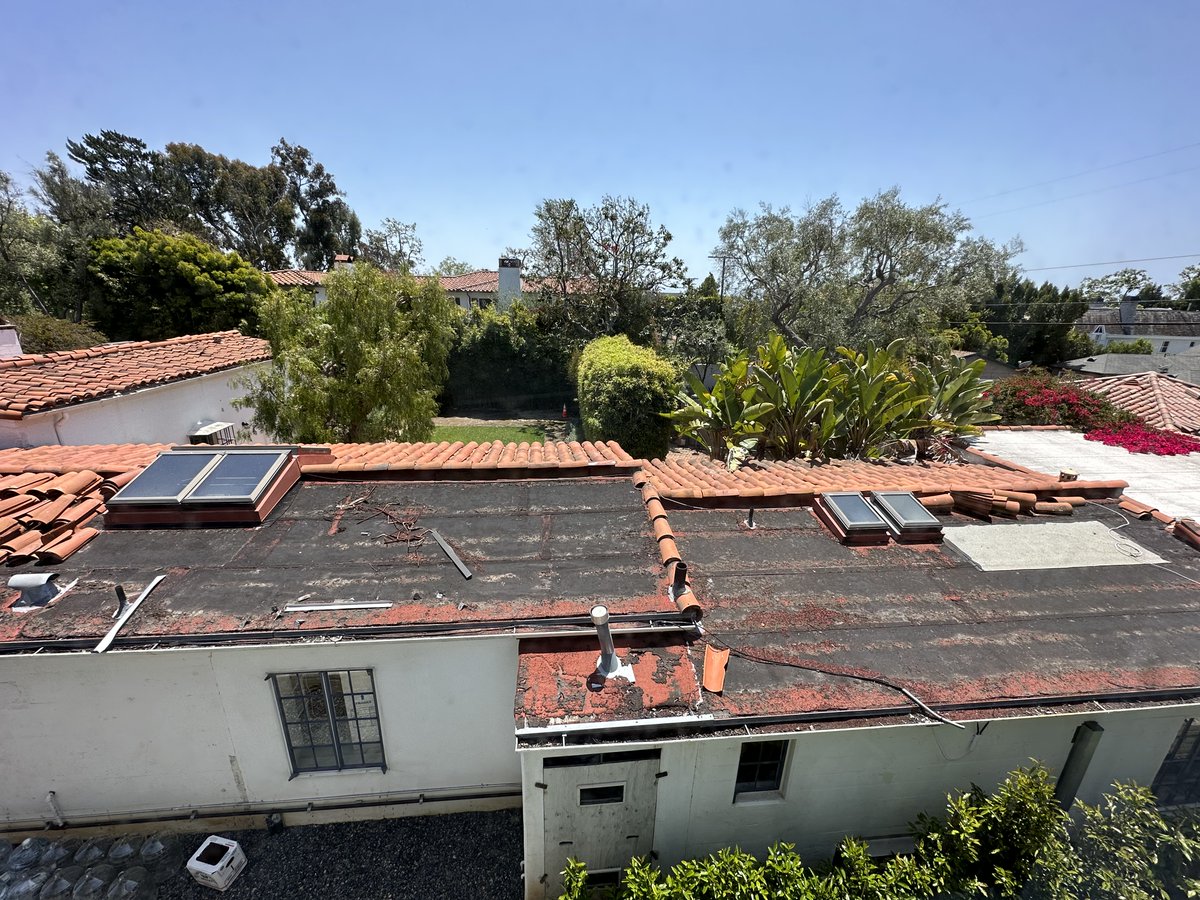 Pacific Legal 🗡⚖️ tweet media