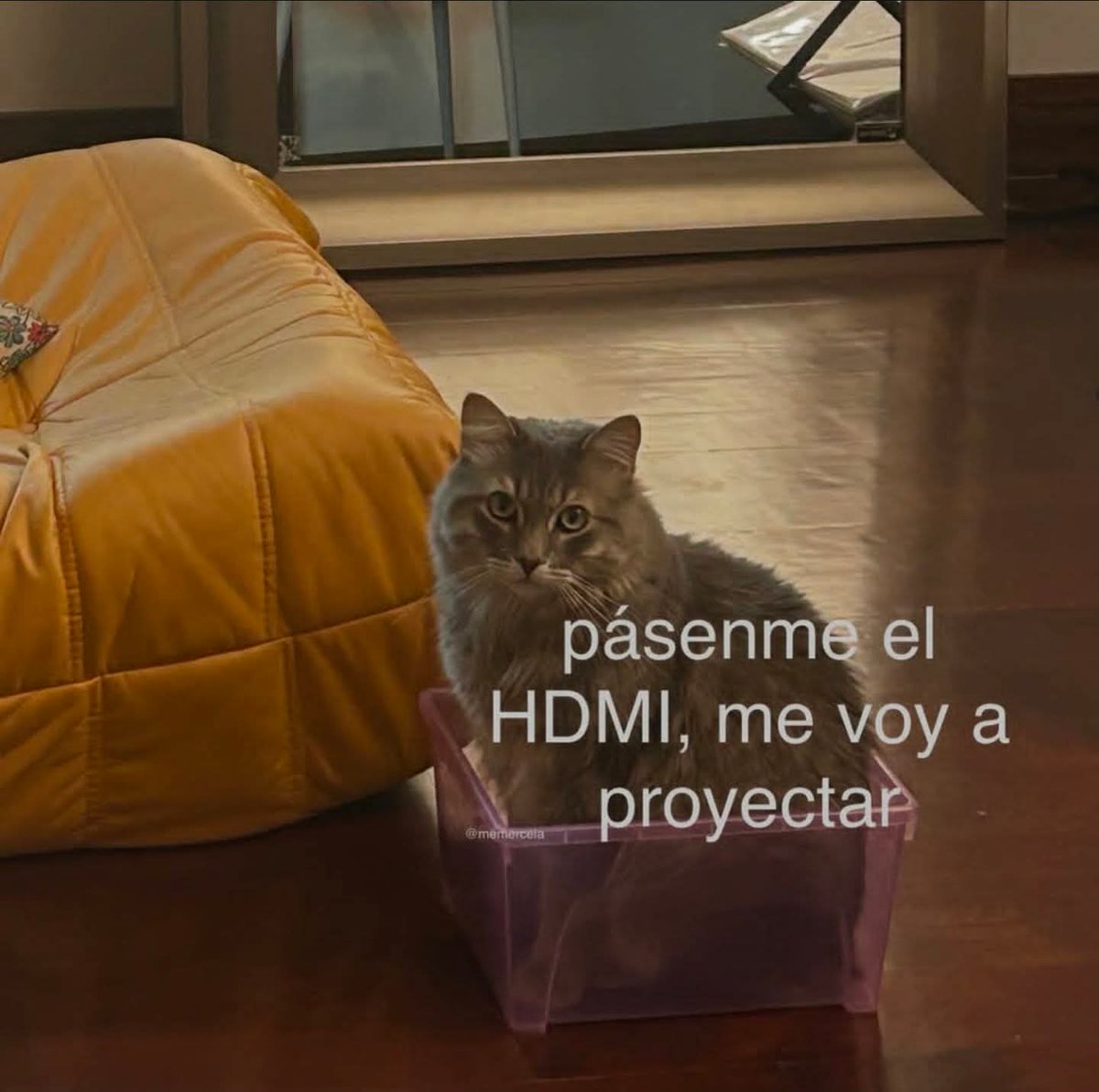 En Júpiter (@en_jupiter_) on Twitter photo 