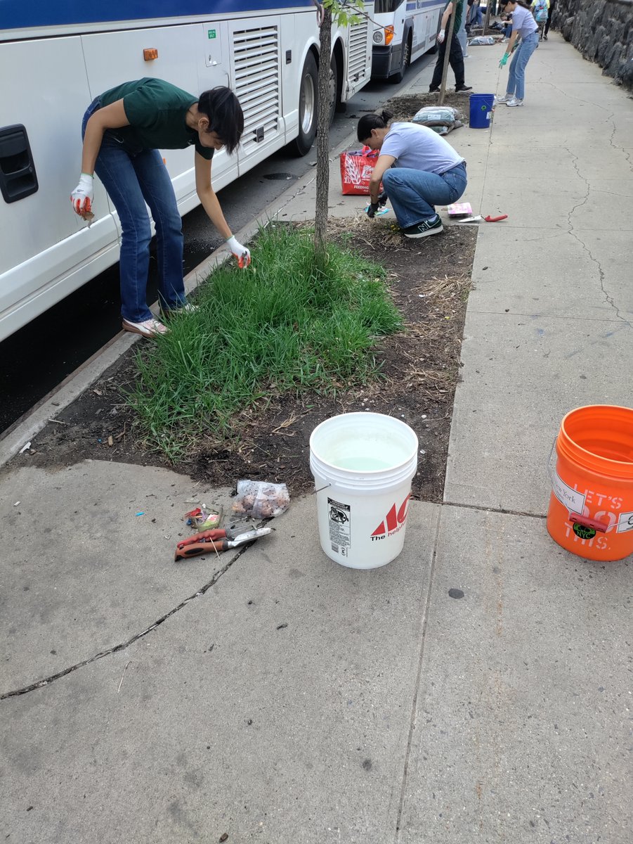 Trees New York tweet media
