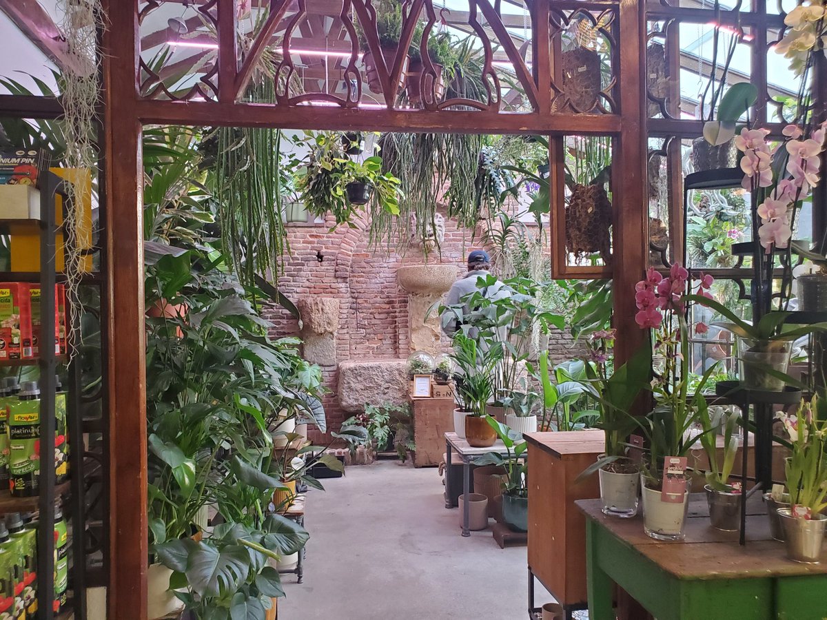 Louanne_77's tweet photo. No one asked but my favourite place to visit was the flower shop because the play on the depth in the show is amazing, the shop is so tiny in reality. Kudos to the crew.
And the shop was cute! https://t.co/stGBfdf45U