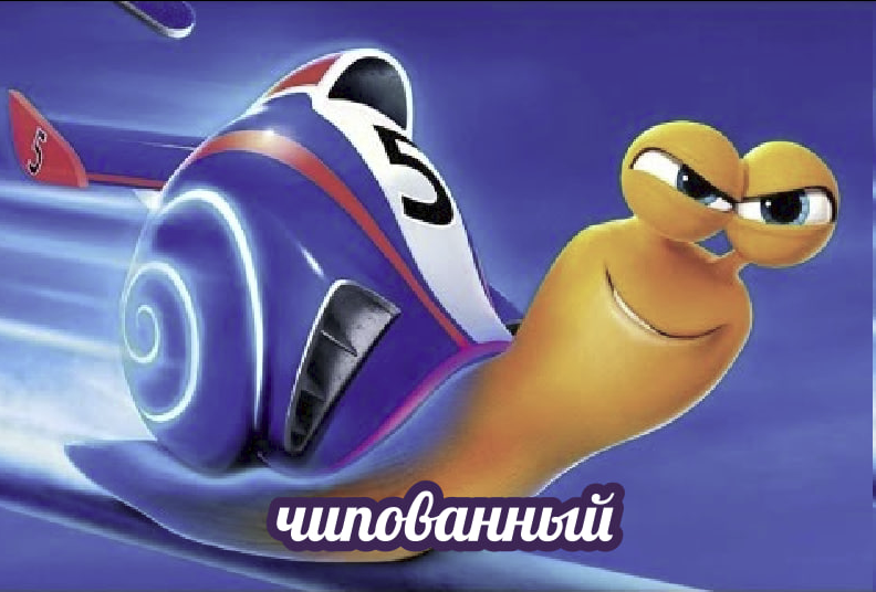 Лентач tweet media