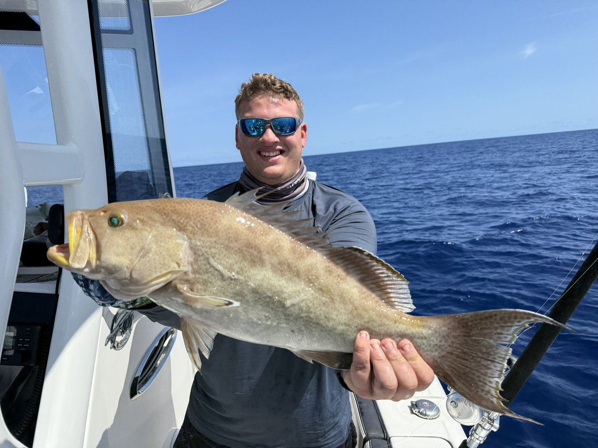 SarasotaFishing's tweet photo. Check out our #deepdropfishing from Sunday. With the kill crew! #sarasotafishingcharters #scampgrouper #yellowedgegrouper #sarasotadeepdropfishing @TWBoatsLLC @Garmin @Shimano_Fishing @PelagicGear @ONeilsMariana @EvanLemons4 @PENNfishing https://t.co/IXt16E9n7X