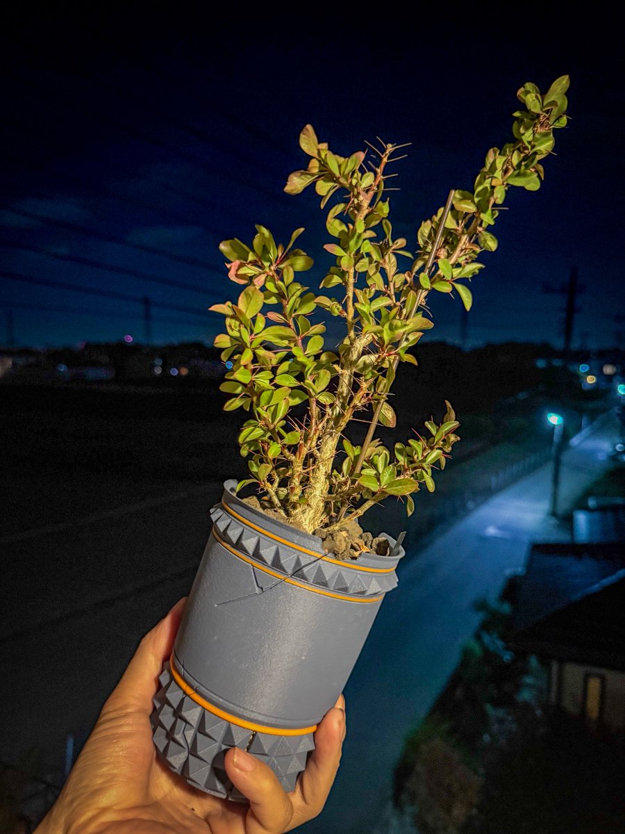 Plants ate Michael@3Dプリンター鉢作家 tweet media