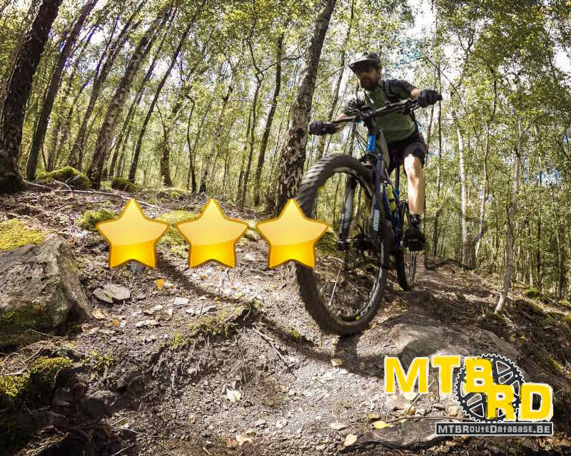 mtbrd_be's tweet image. ⭐ Nieuwe beoordeling gepost door Erik!
📍 #MTB route #Diest rood+blauw, #VlaamsBrabant ⤵️
mtbroutedatabase.be/vlaams-brabant…