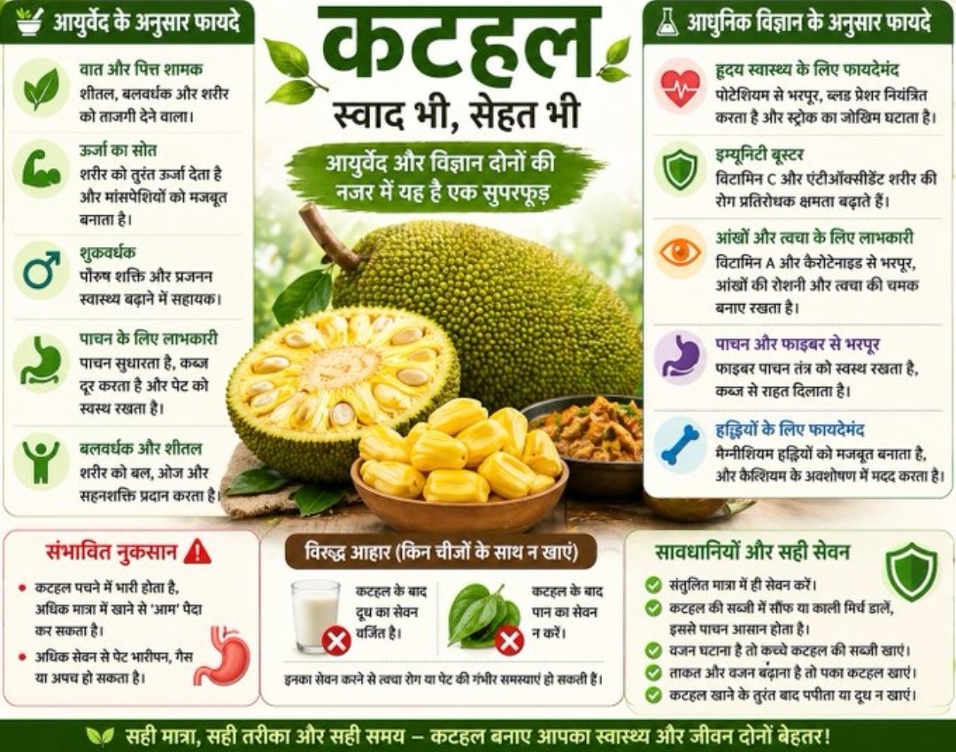 Amitsharma98469's tweet image. कटहल—स्वाद और सेहत का बेहतरीन संगम! 🌿 आयुर्वेद में यह वात-पित्त संतुलित कर शरीर को बल देता है, वहीं पोषण से भरपूर होने के कारण दिल और पाचन के लिए लाभकारी है।
#Superfood #Jackfruit