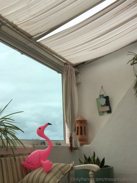 MountJohnXL tweet media