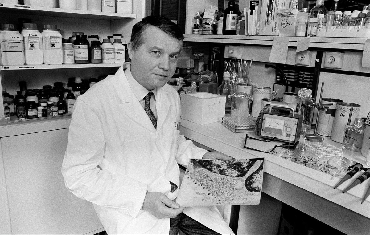 MacKenzie tweet media