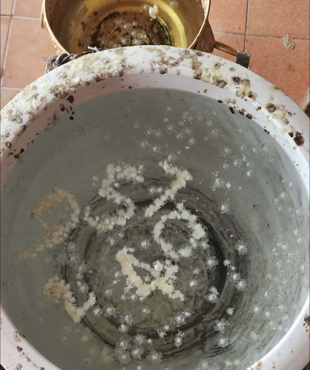 ไพ่ยิปซีให้โชค tweet media