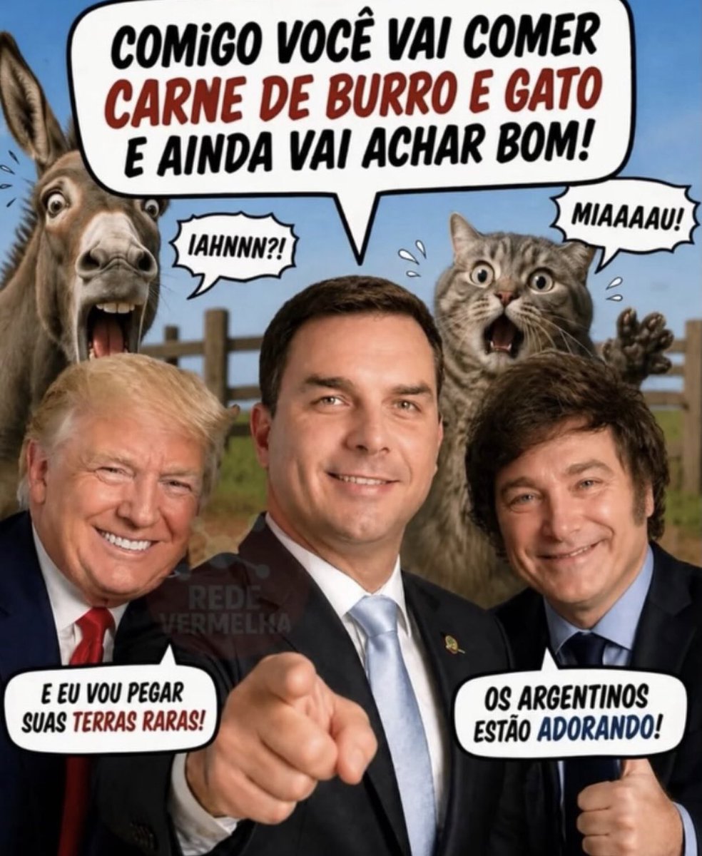 Sara Barbosa tweet media