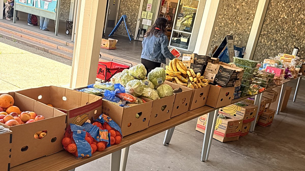 nttw2's tweet photo. We've added Gavilan College to our partner list, providing groceries from Safeway in Morgan Hill every Friday. https://t.co/zuc7lLqdaZ