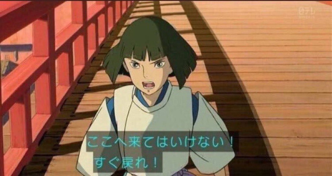 レオ🦁@まるる💊佐賀県民 tweet media