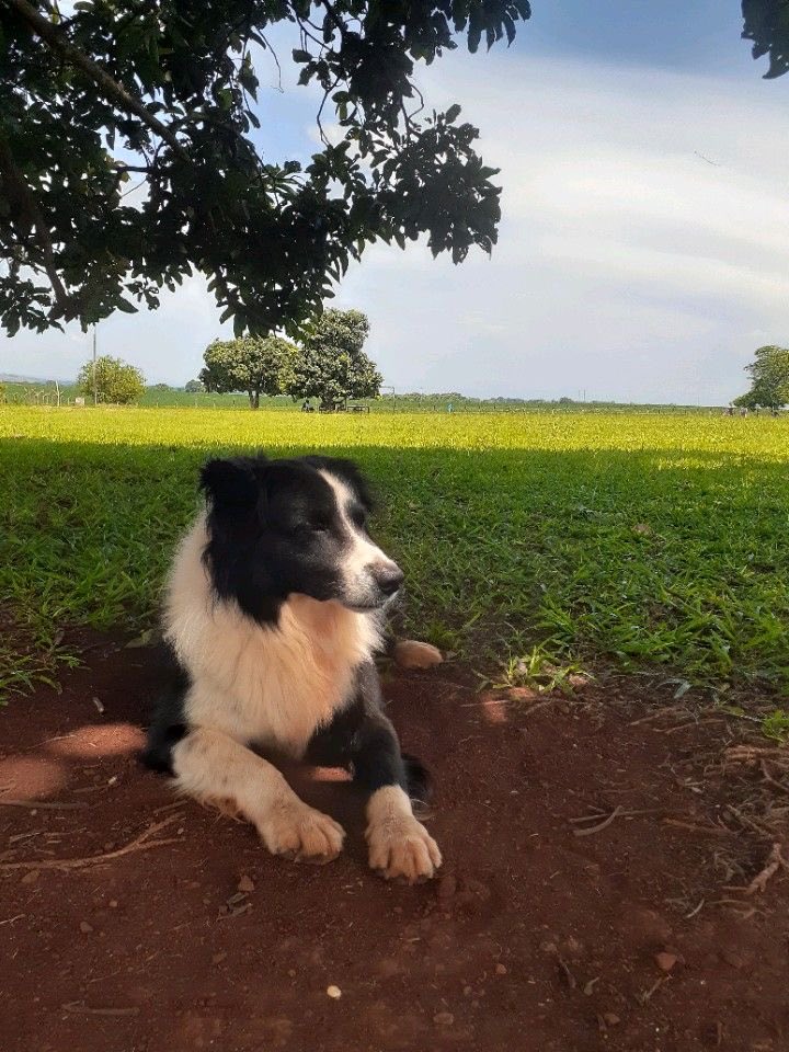 𝑹𝒐𝒔𝒆𝒏𝒕𝒉𝒂𝒍 tweet media