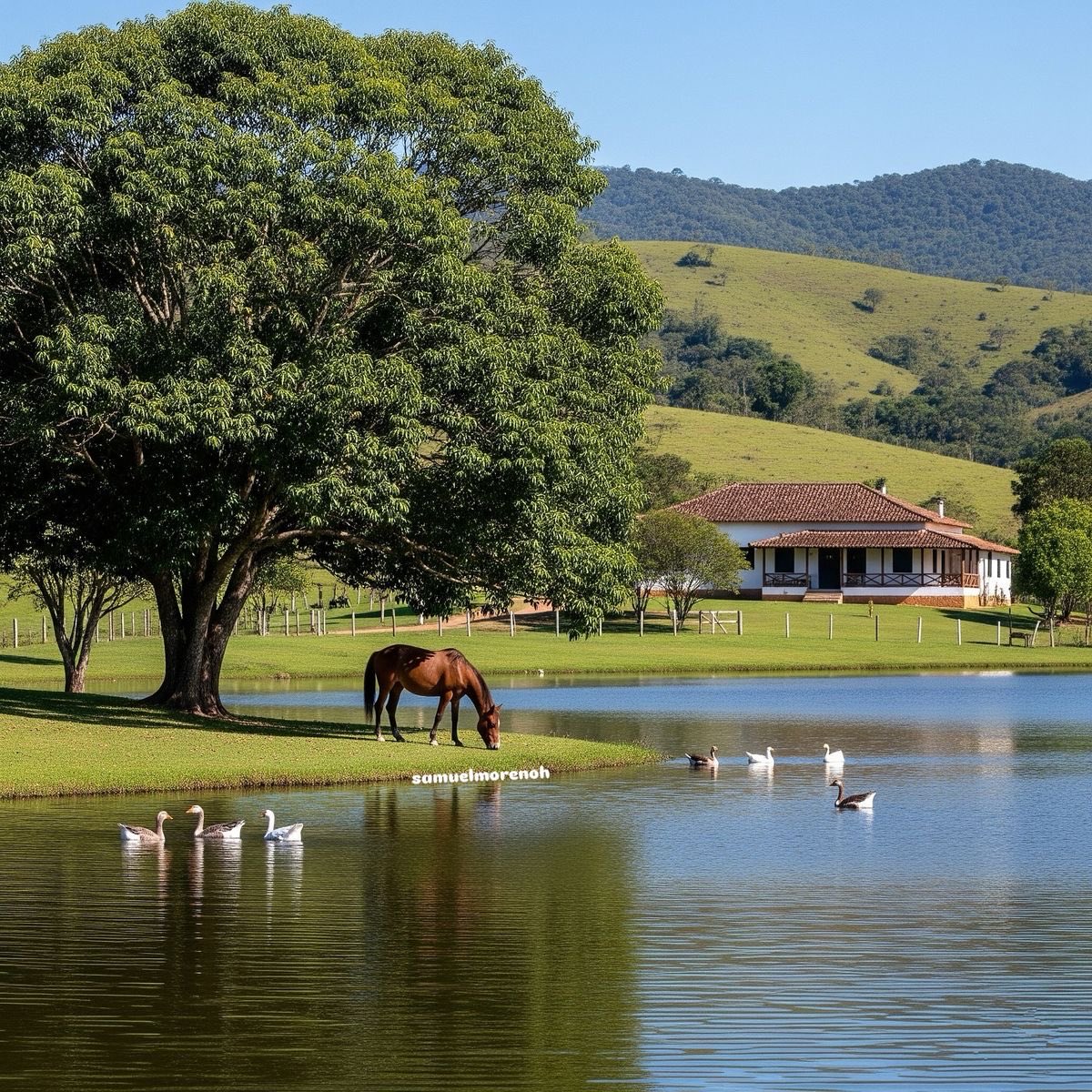 𝑹𝒐𝒔𝒆𝒏𝒕𝒉𝒂𝒍 tweet media