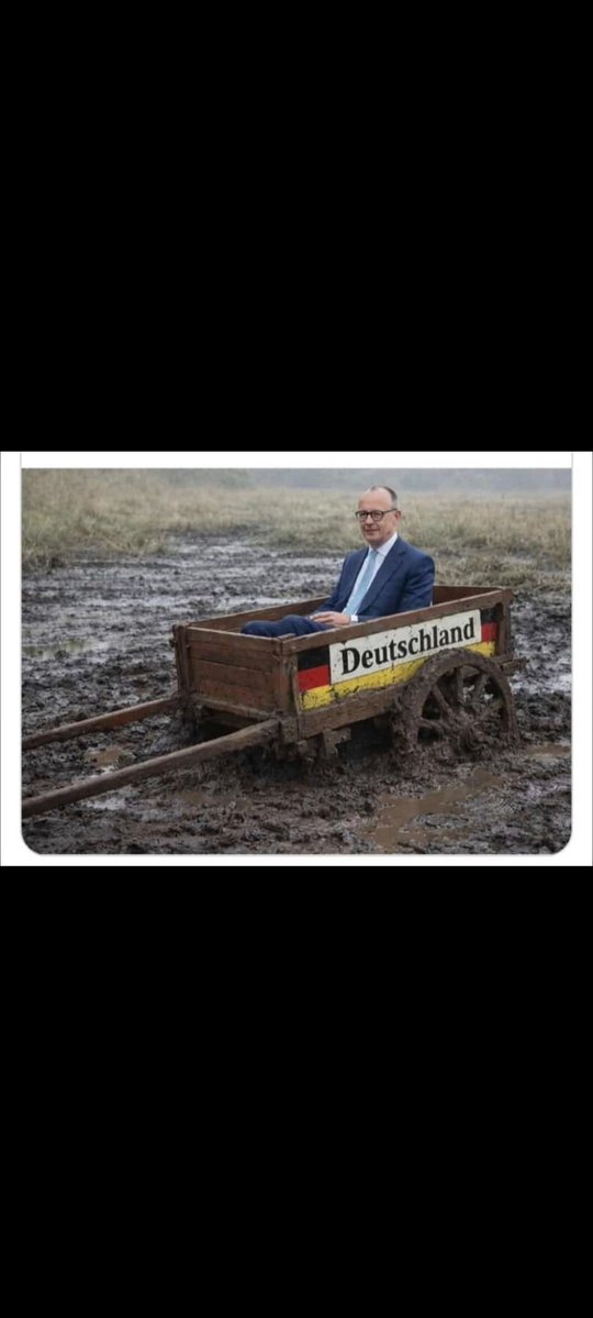 Herbert Fey tweet media