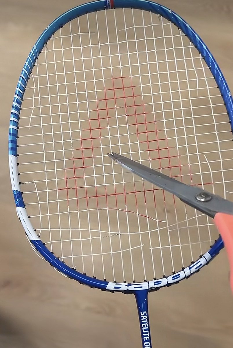 Rave 🪶🍃 shedtwt || FOLLOW LIMITED tweet media