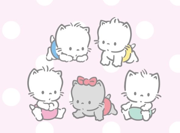 森井輝さんを尊敬するアカウント tweet media