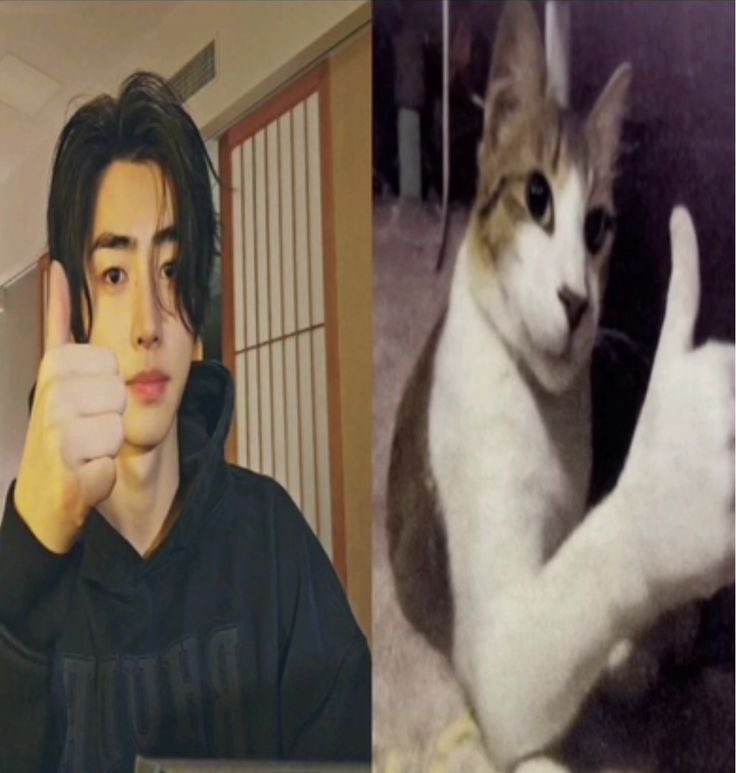 esme ★; sevEN & RIKCOVER. tweet media