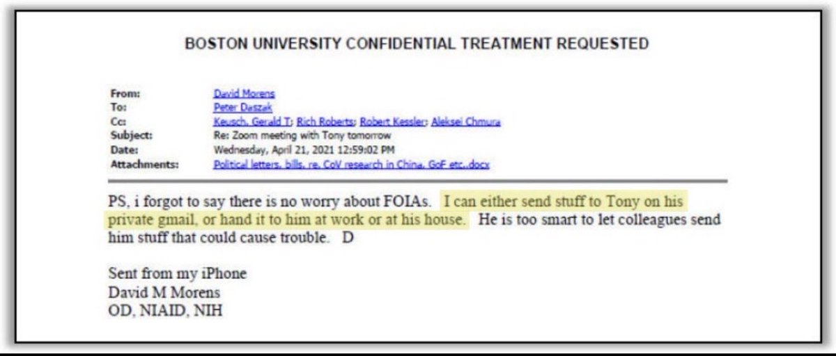 Savannah Insights 🎙️ tweet media