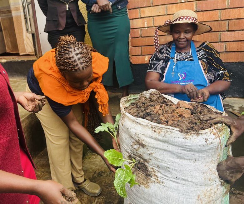 warmheartsug's tweet image. Mukono youth rocked backyard farming training this Week! 🌾 

What an incredible turnout for our hands-on backyard farming training. 

Over 50 young people aged 18-35 rolled up their sleeves and transformed #small spaces into food #powerhouses and employment spaces. 
#eydcd