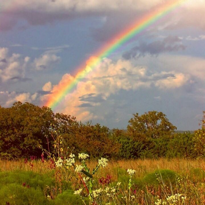 loh ENHYPEN IS 7. tweet media