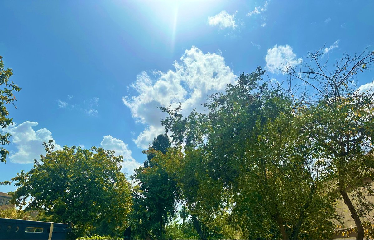 ♡Goddess Mony♡ tweet media