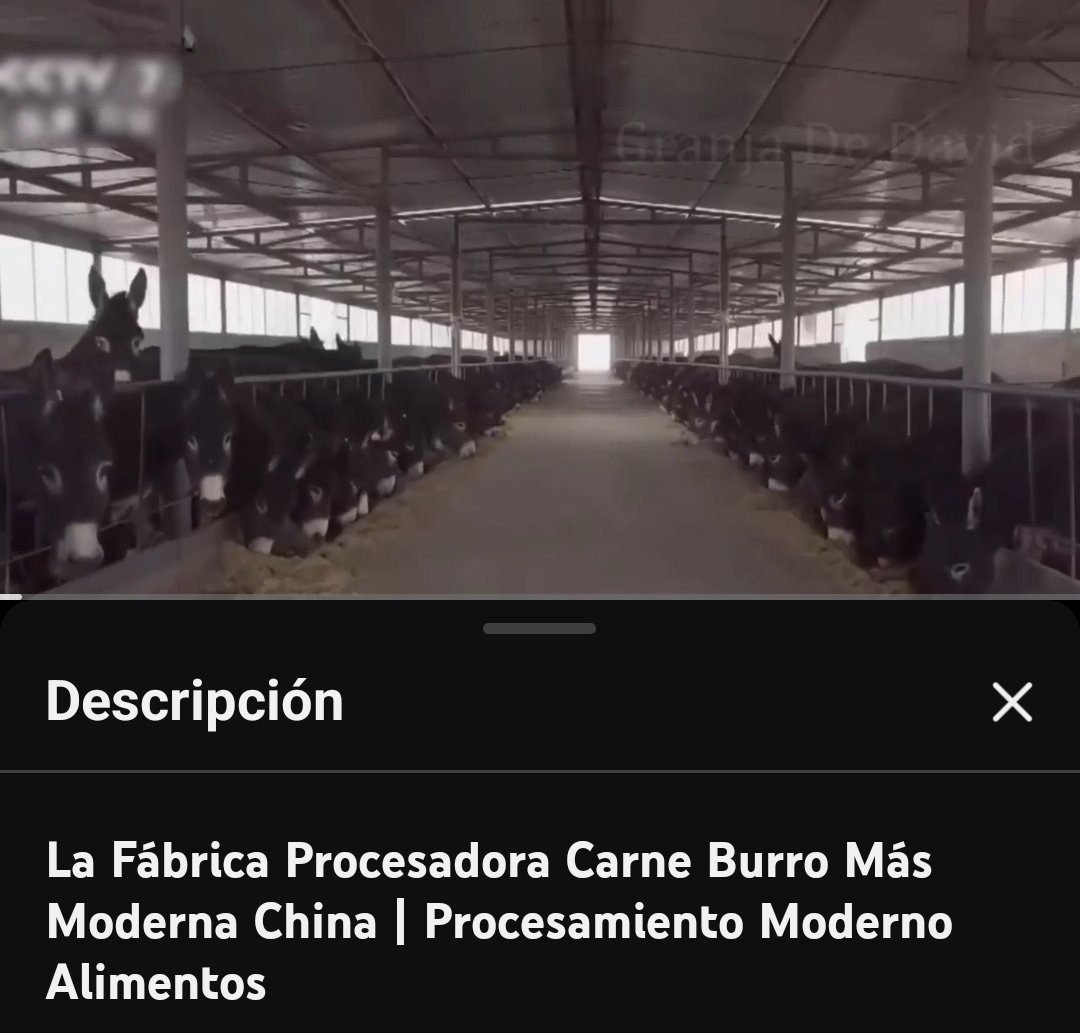 Rod M ✞ ⚣ 🇦🇷🇻🇦 tweet media