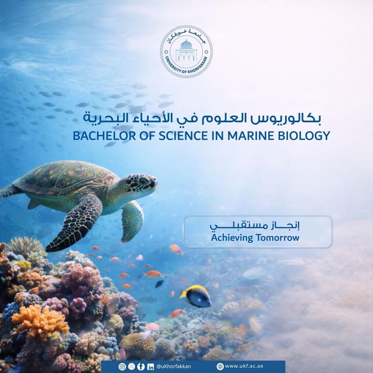 University of Khorfakkan • جامعة خورفكان tweet media