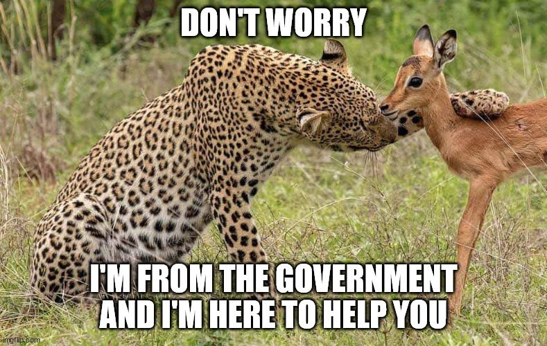 angrywebmaster's tweet image. Trump’s Federal Trade Commission undoing Biden’s lawfare #FTC #Regulation #Biden #Lawfare #Tyranny #Democrats #trump47 @HopalongAsks @TheDiplomad @LegInsurrection @JDunlap1974 @Lily4Liberty @DataRepublican @elonmusk @catturd2 @DC_Draino @ProudElephant angry.net/blog2/?p=46908