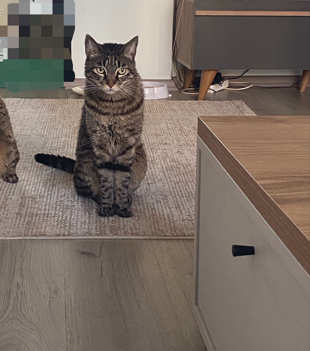 hidden paradise tweet media