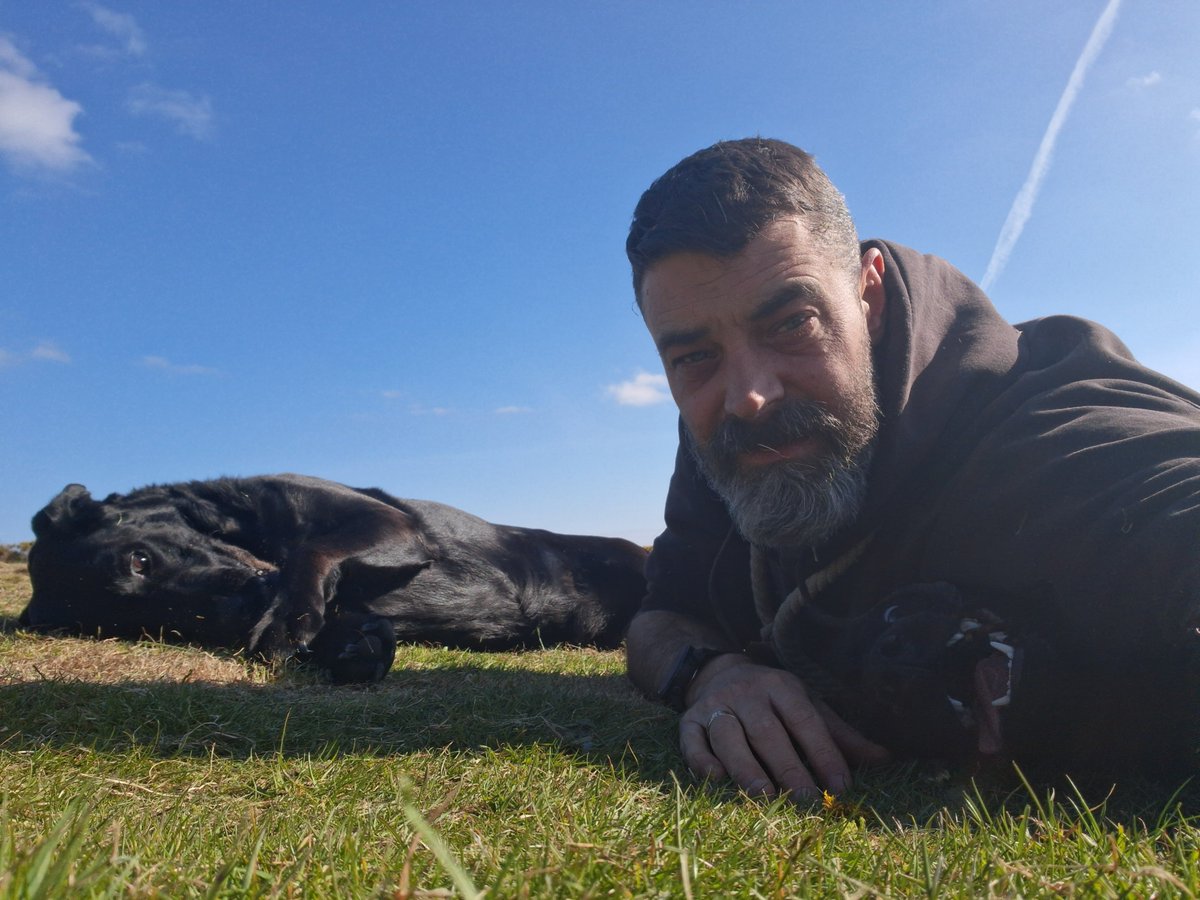 Isle Of Man Prison Dog Section tweet media