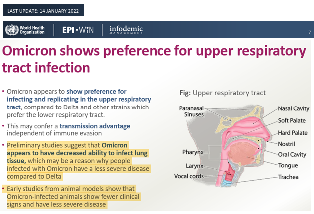 AcrossPotomac's tweet photo. @DrJMarine @jeffreytucker @AnilMakam In early 2022, the WHO noted that Omicron was causing less severe disease because it targets the upper respiratory tract more than earlier strains. But that didn't fit with the prior CDC's preferred narrative... https://t.co/vsEDjroBjB https://t.co/xJq8fVz60A