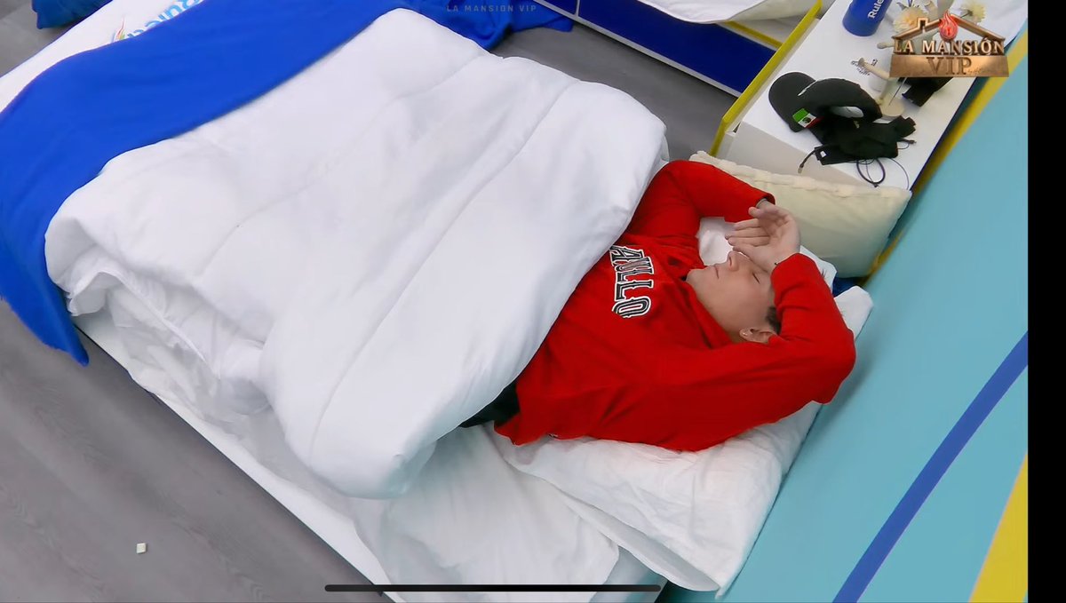 Cuchita 2.0 / Guachita tweet media